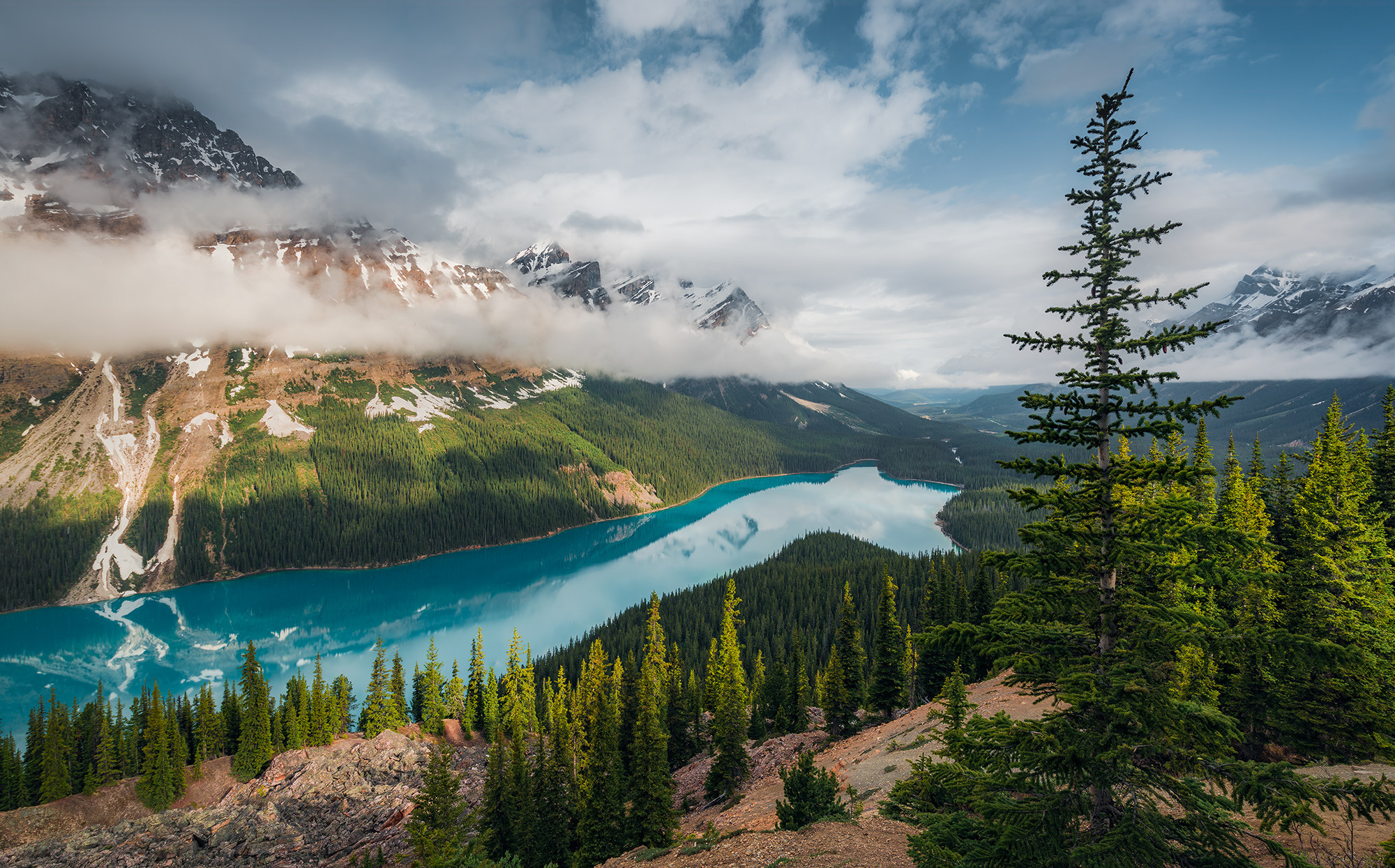 Wonderland Canada