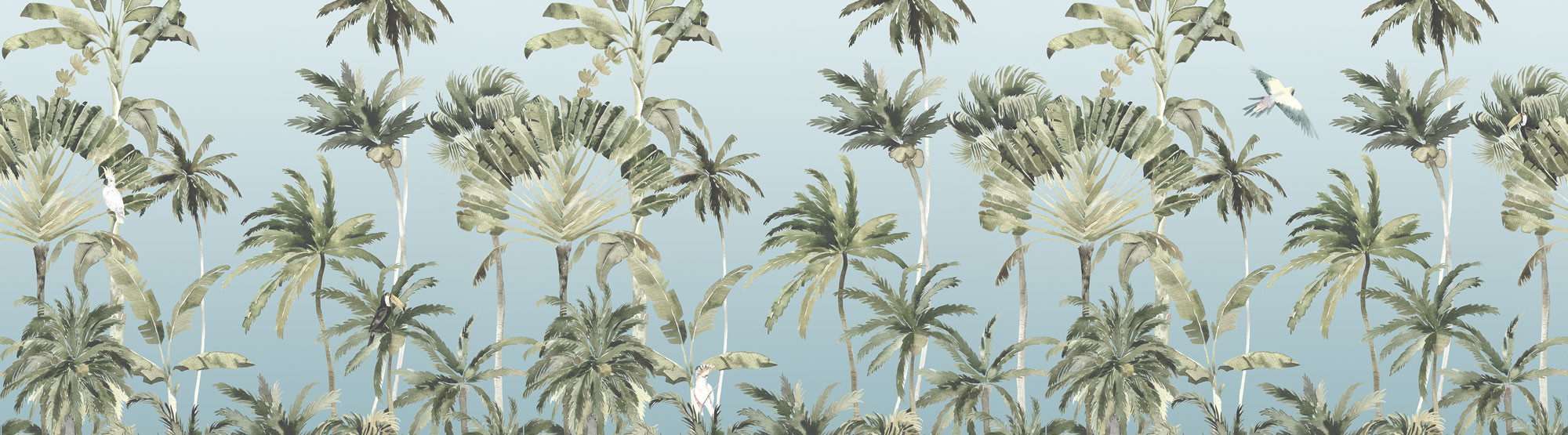 Forêt de Palmiers