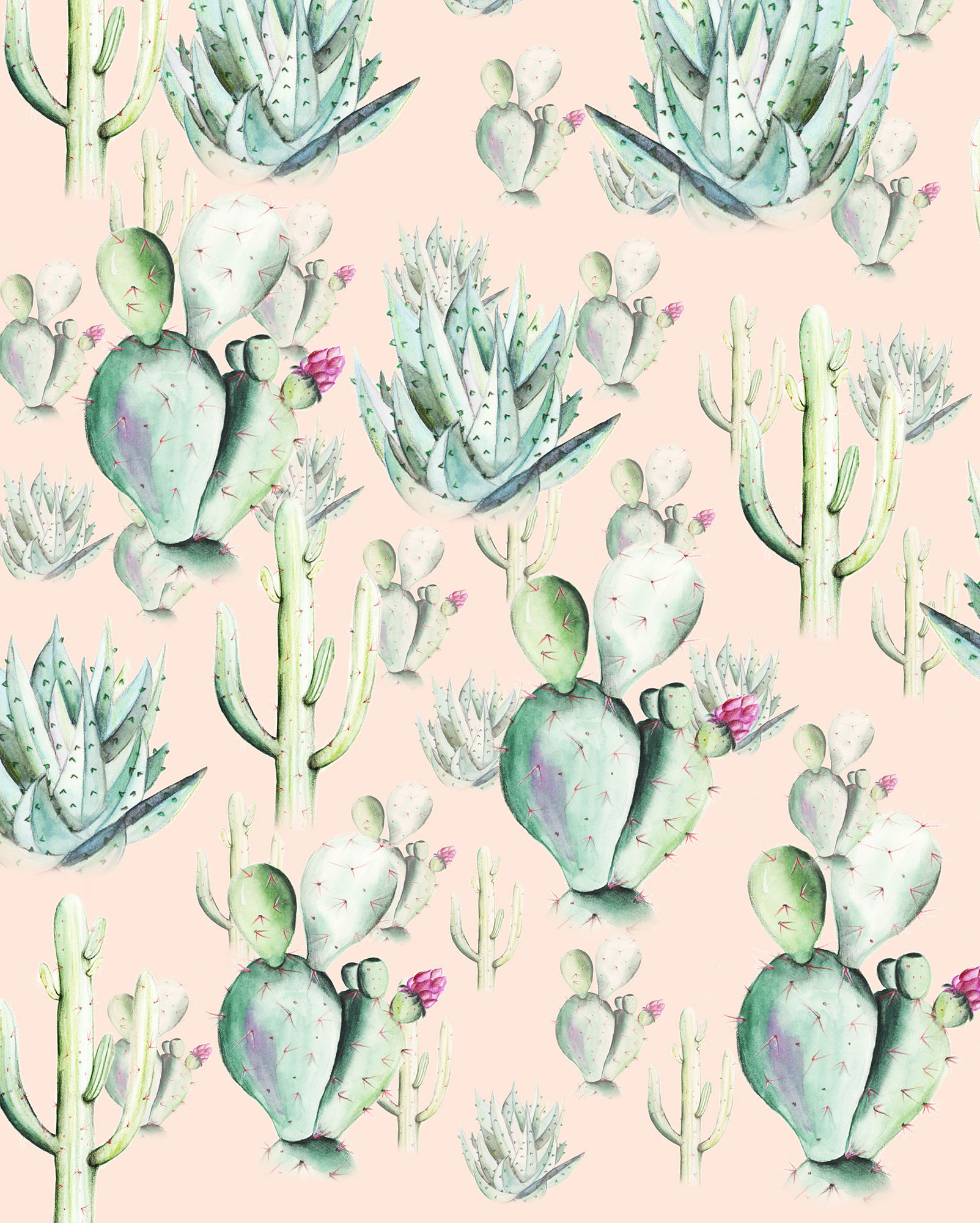Cactus Rose