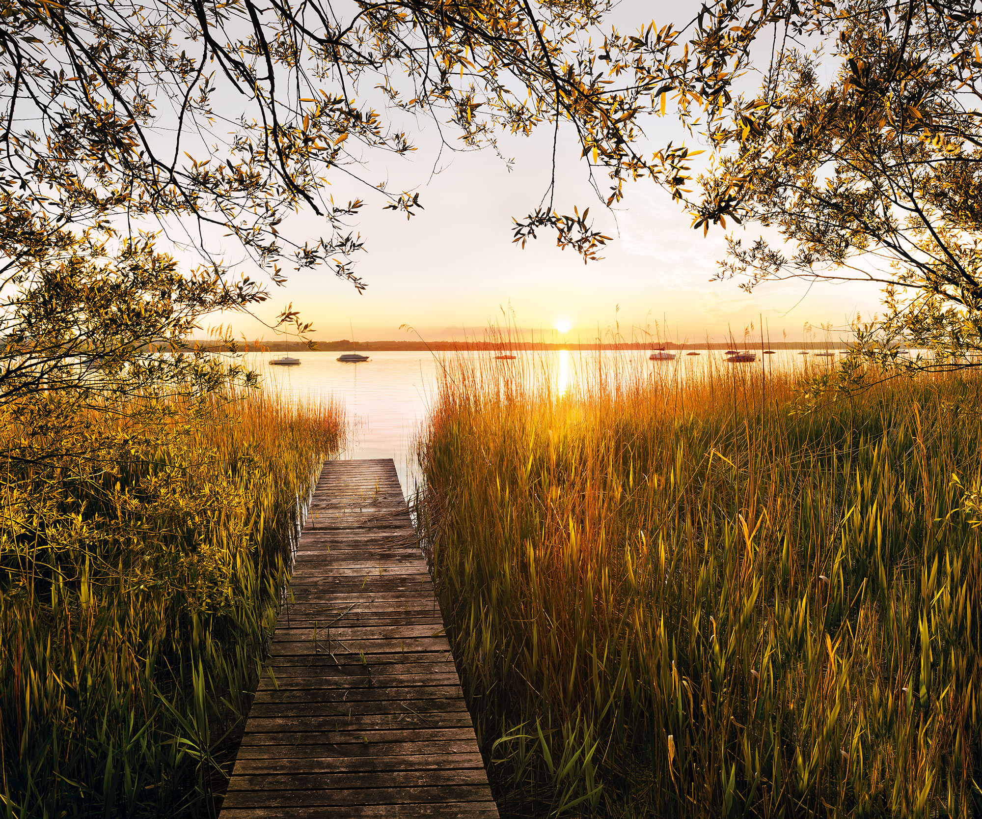 Lakeside