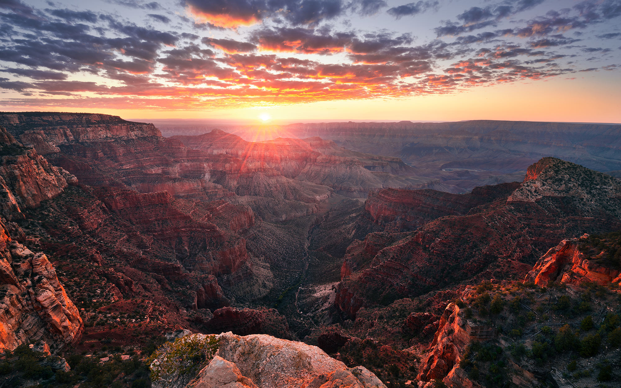 The Canyon