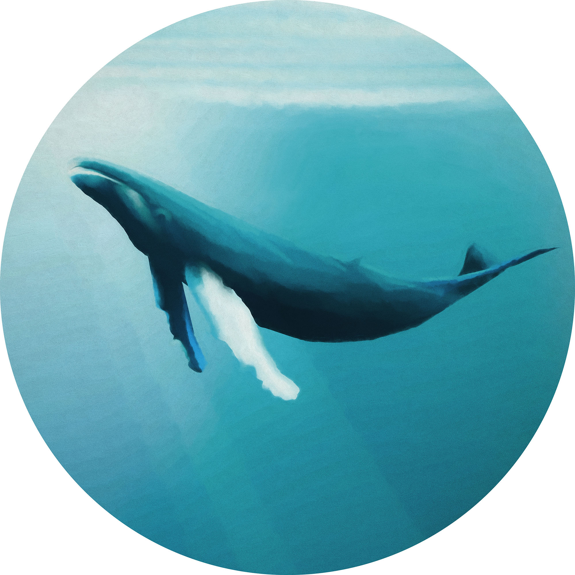 Whale Watching
