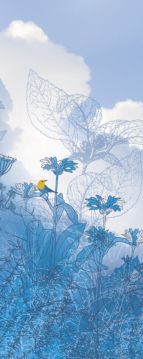Blue Sky Panel
