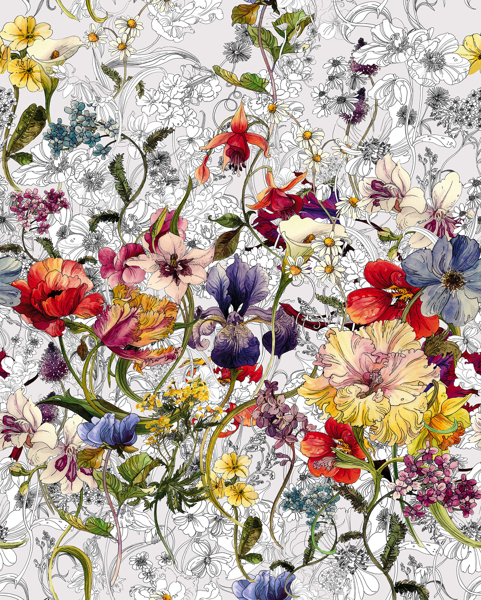 Flora