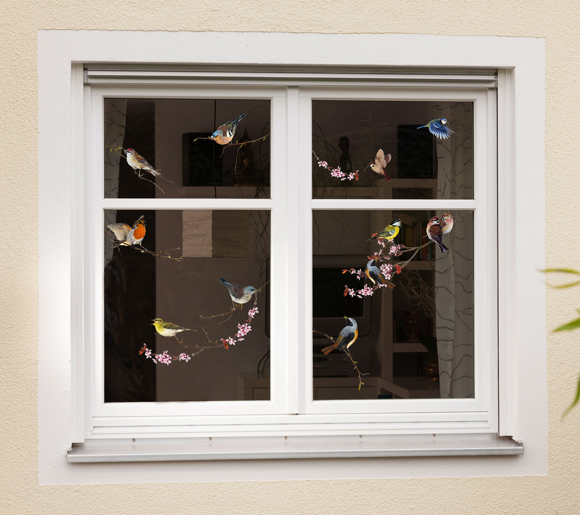 Birds