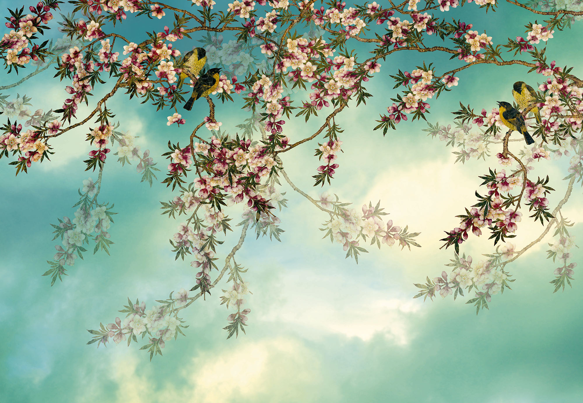 Sakura