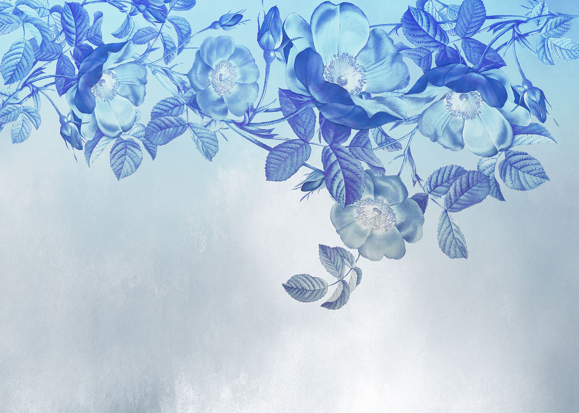 Blue Aura