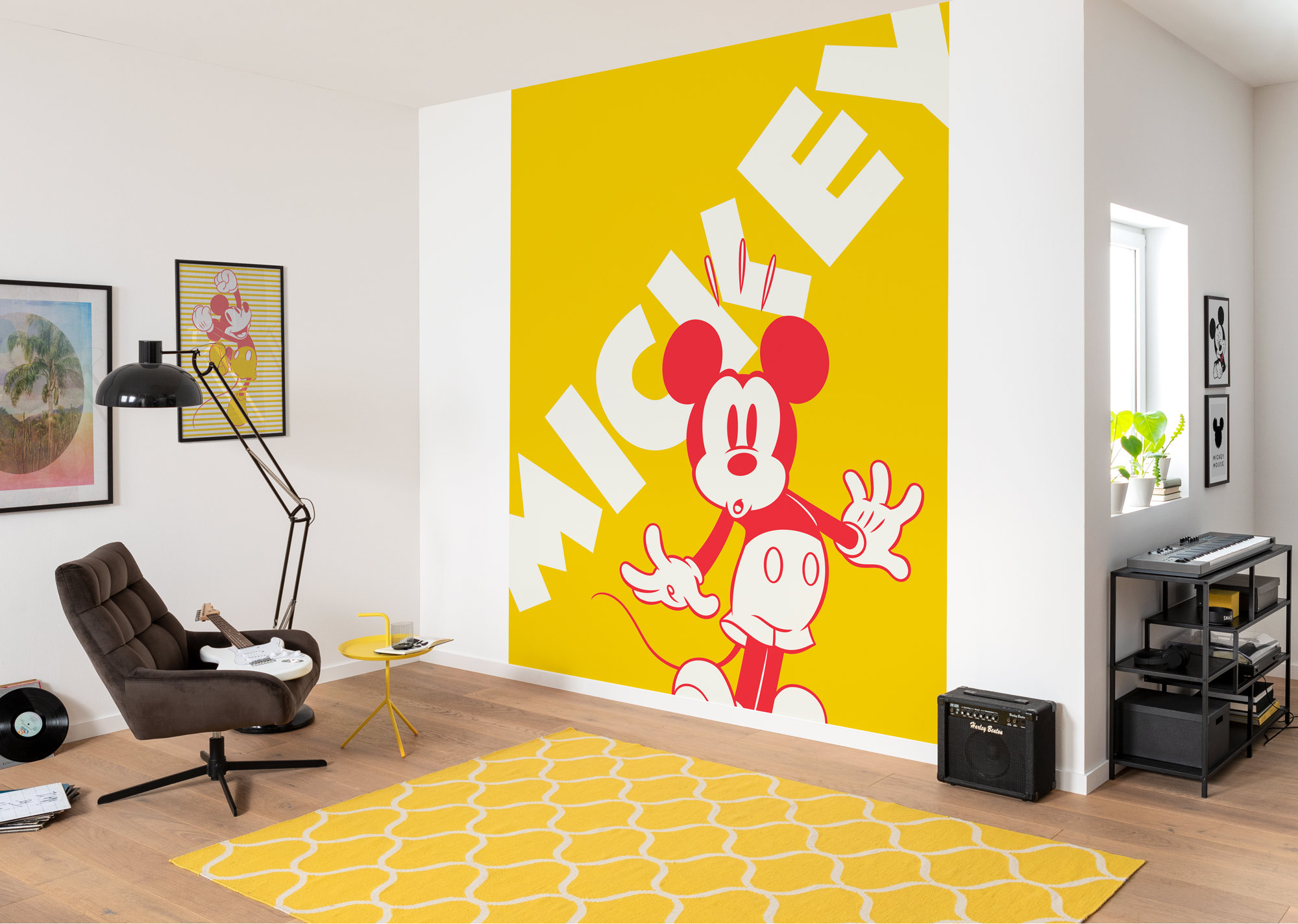 Mickey Contrast