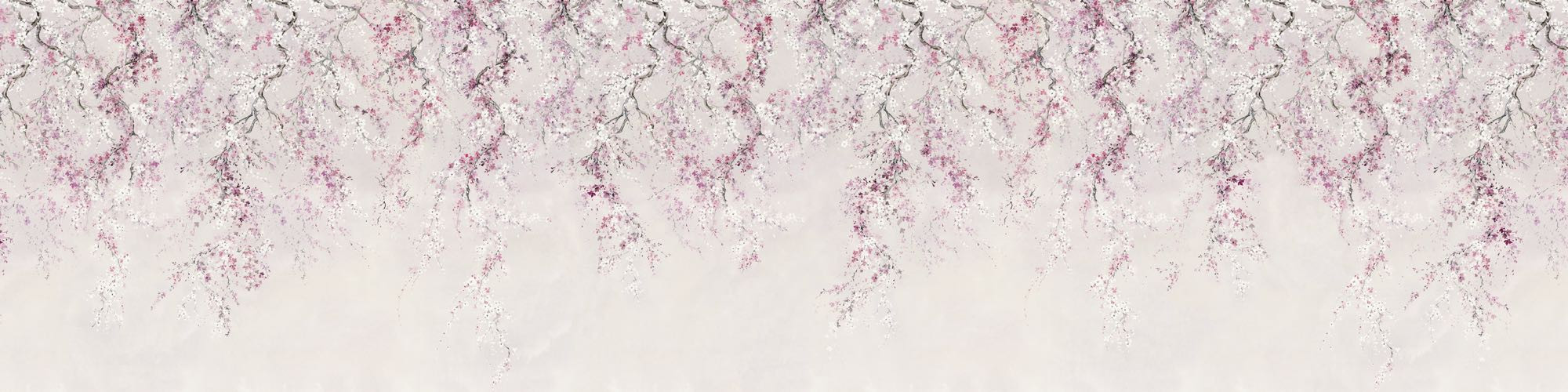 Kirschblüten