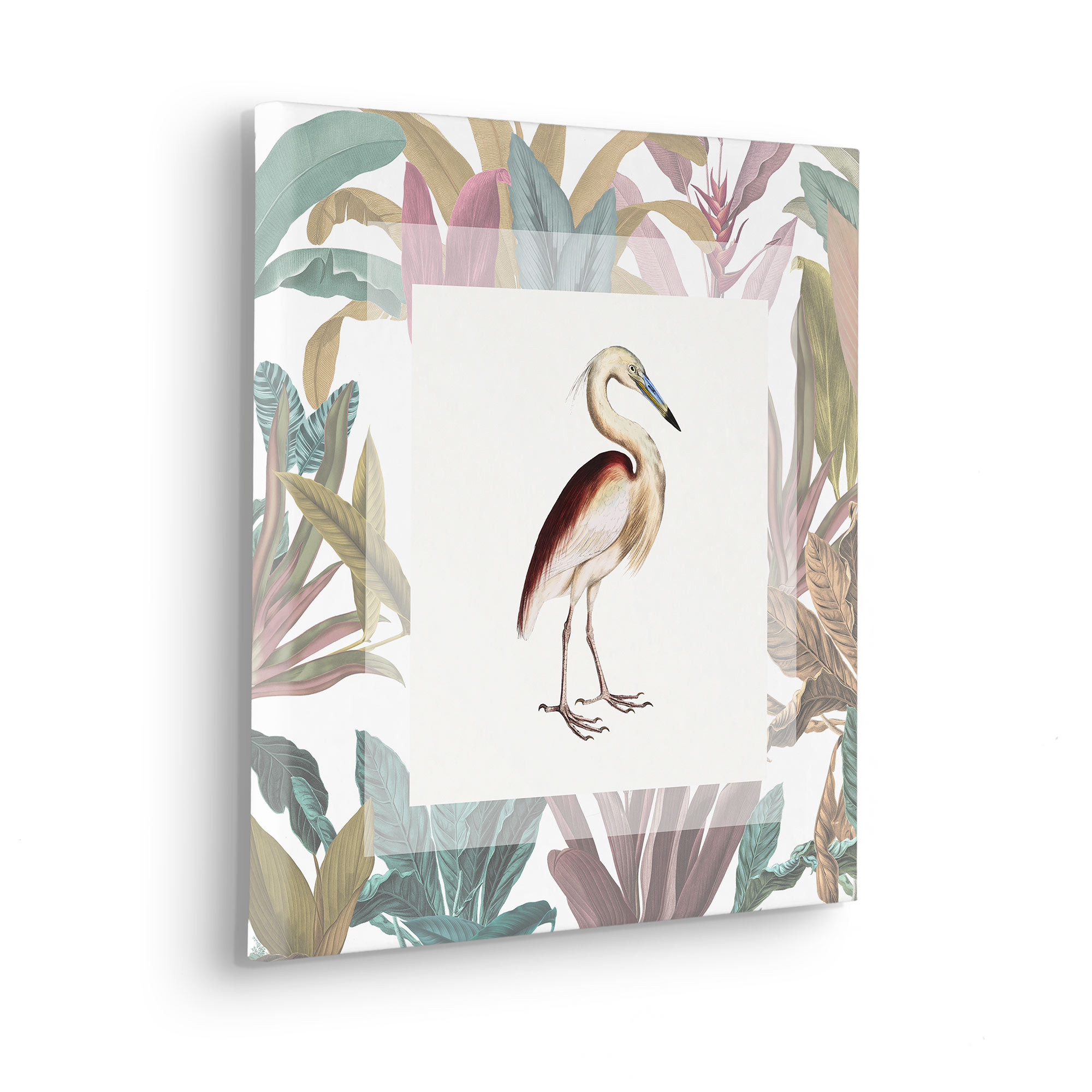 Uncommon Bird