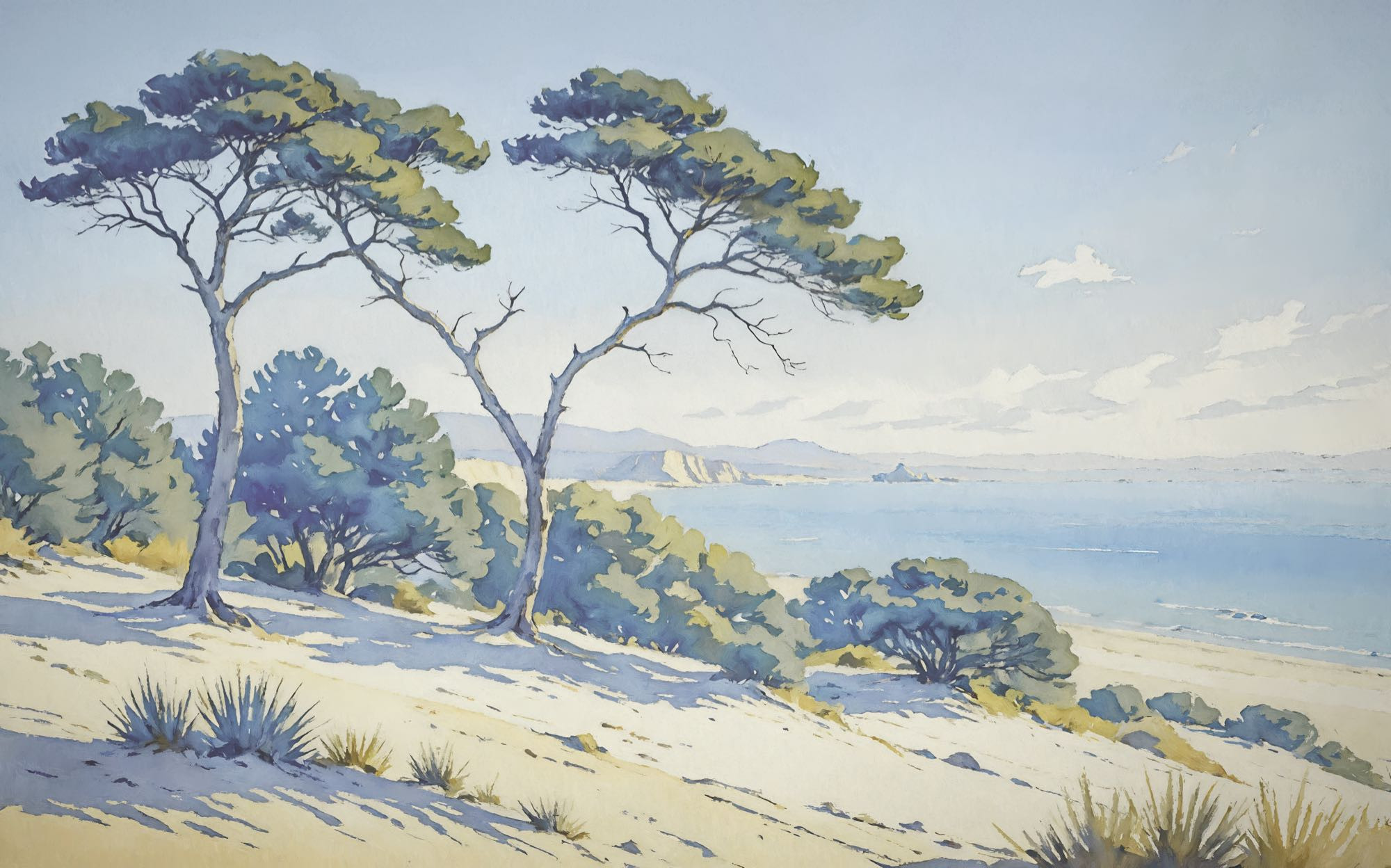 Sandy Coast