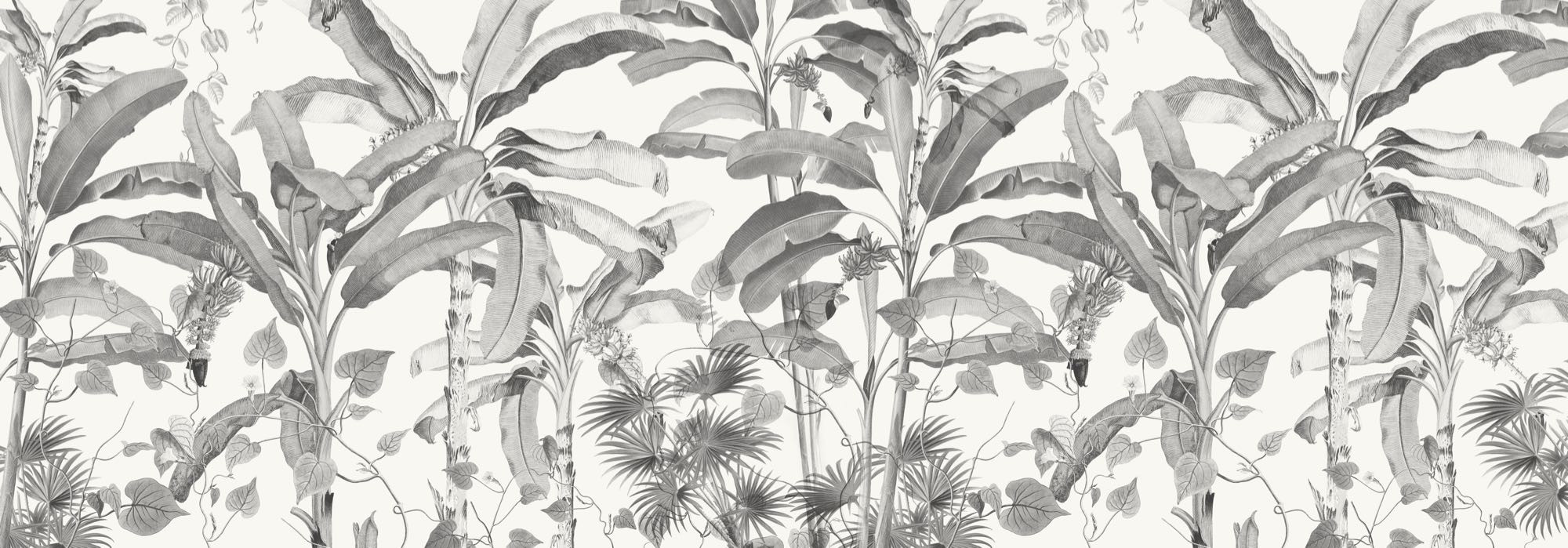 Croissances Monochrome