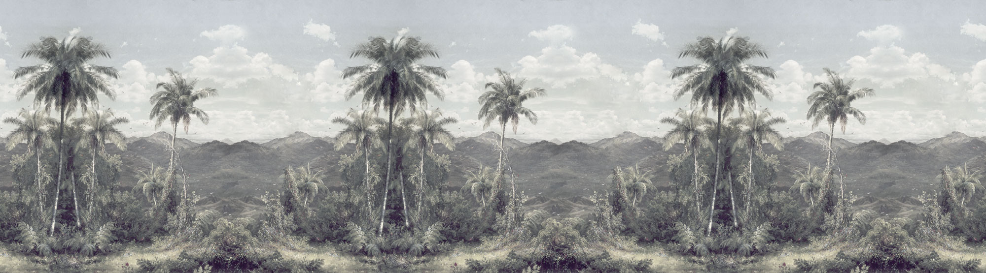 The Exotic Land