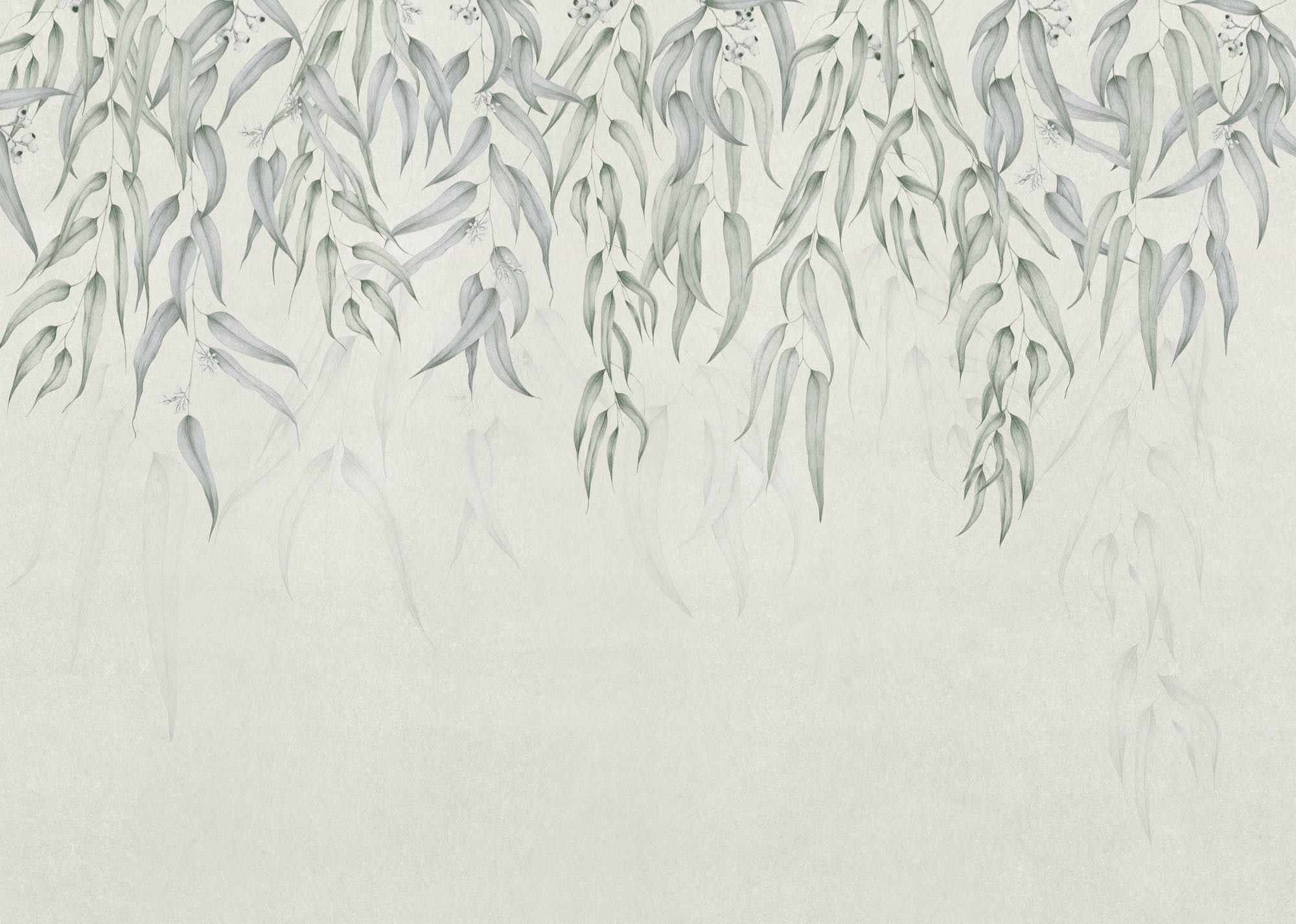 Branches