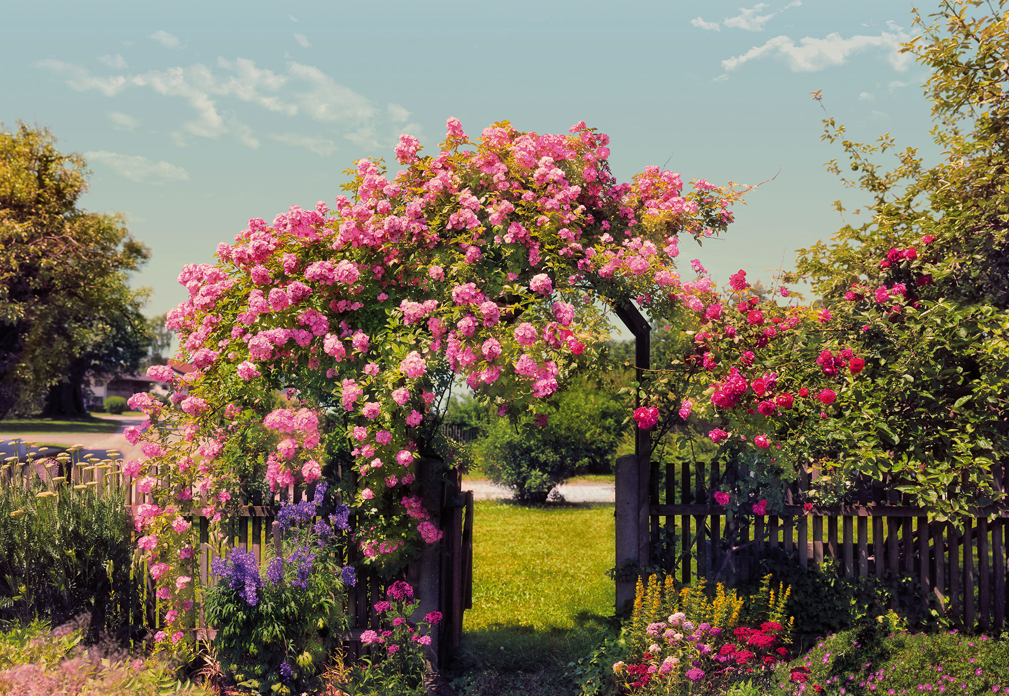 Rose Garden