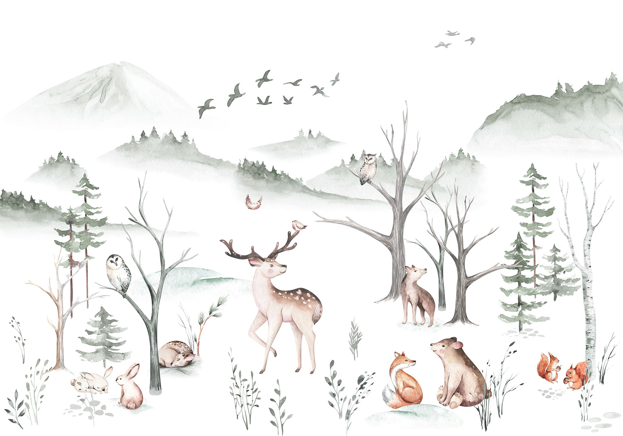 Cozy Woods