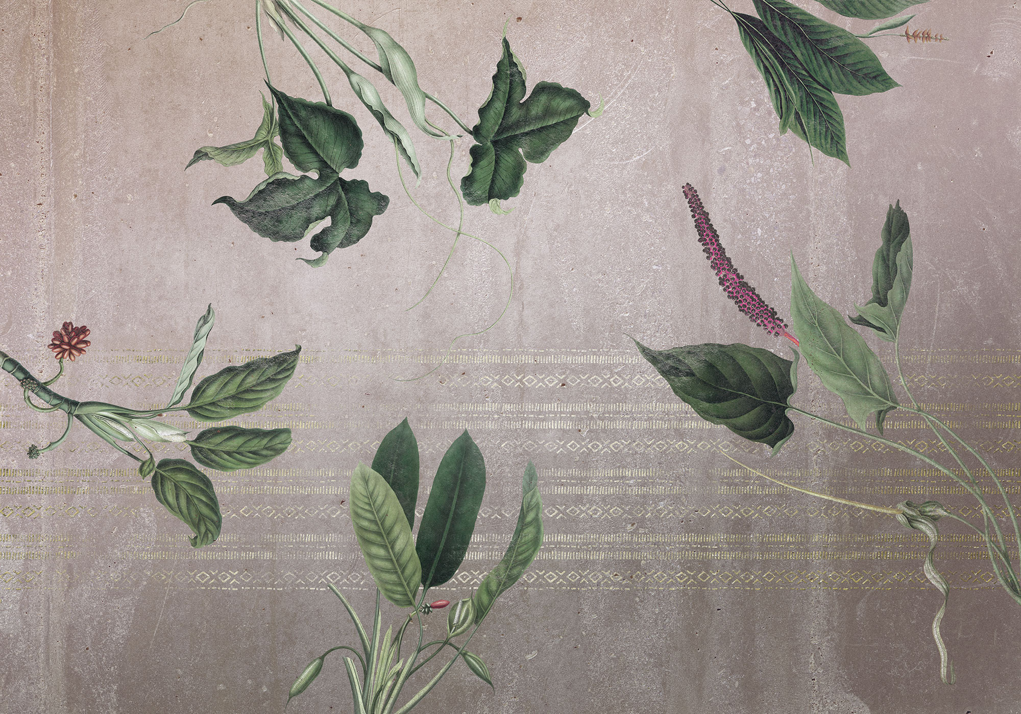 Tropic Concrete