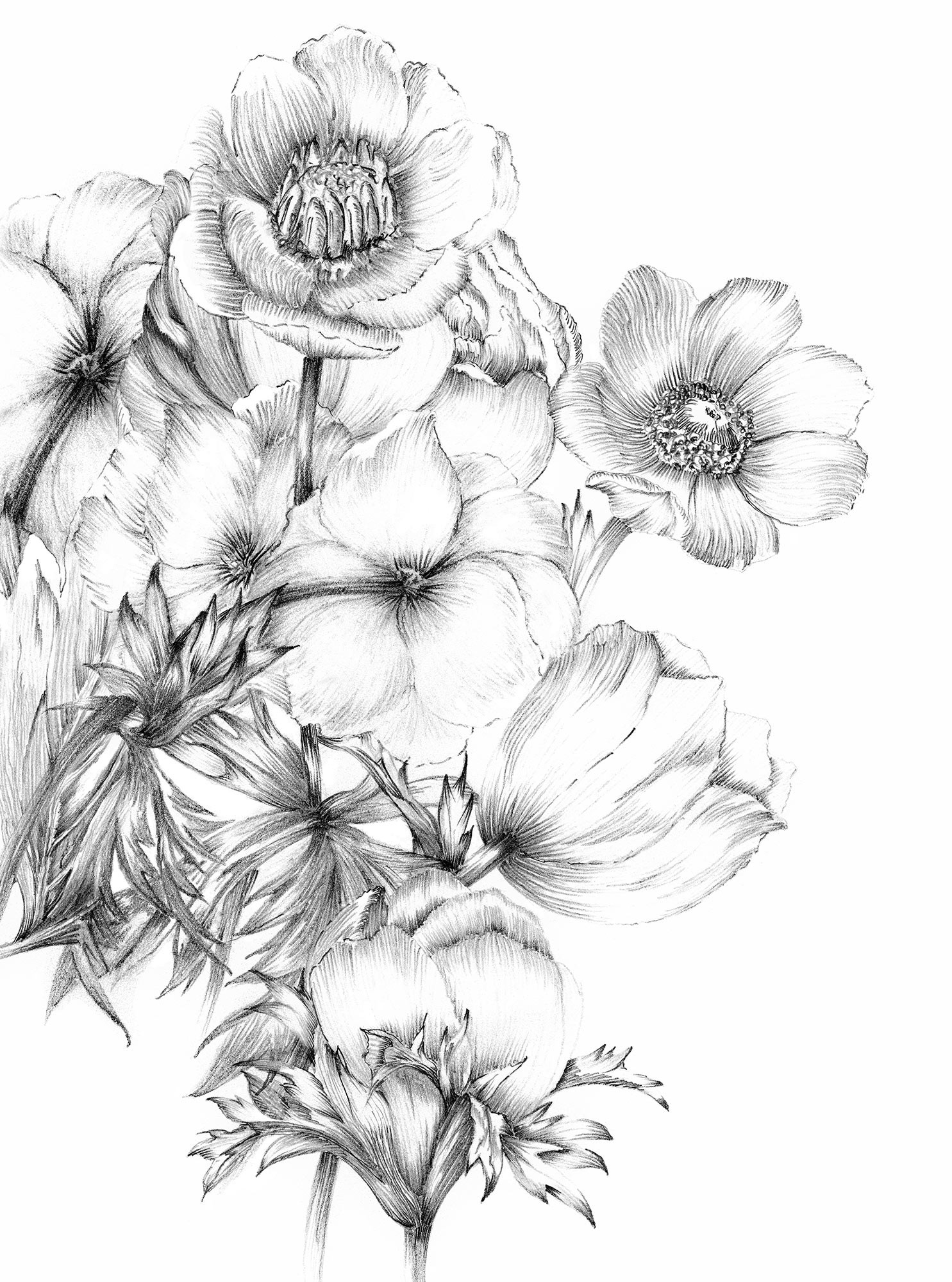 Embroidery