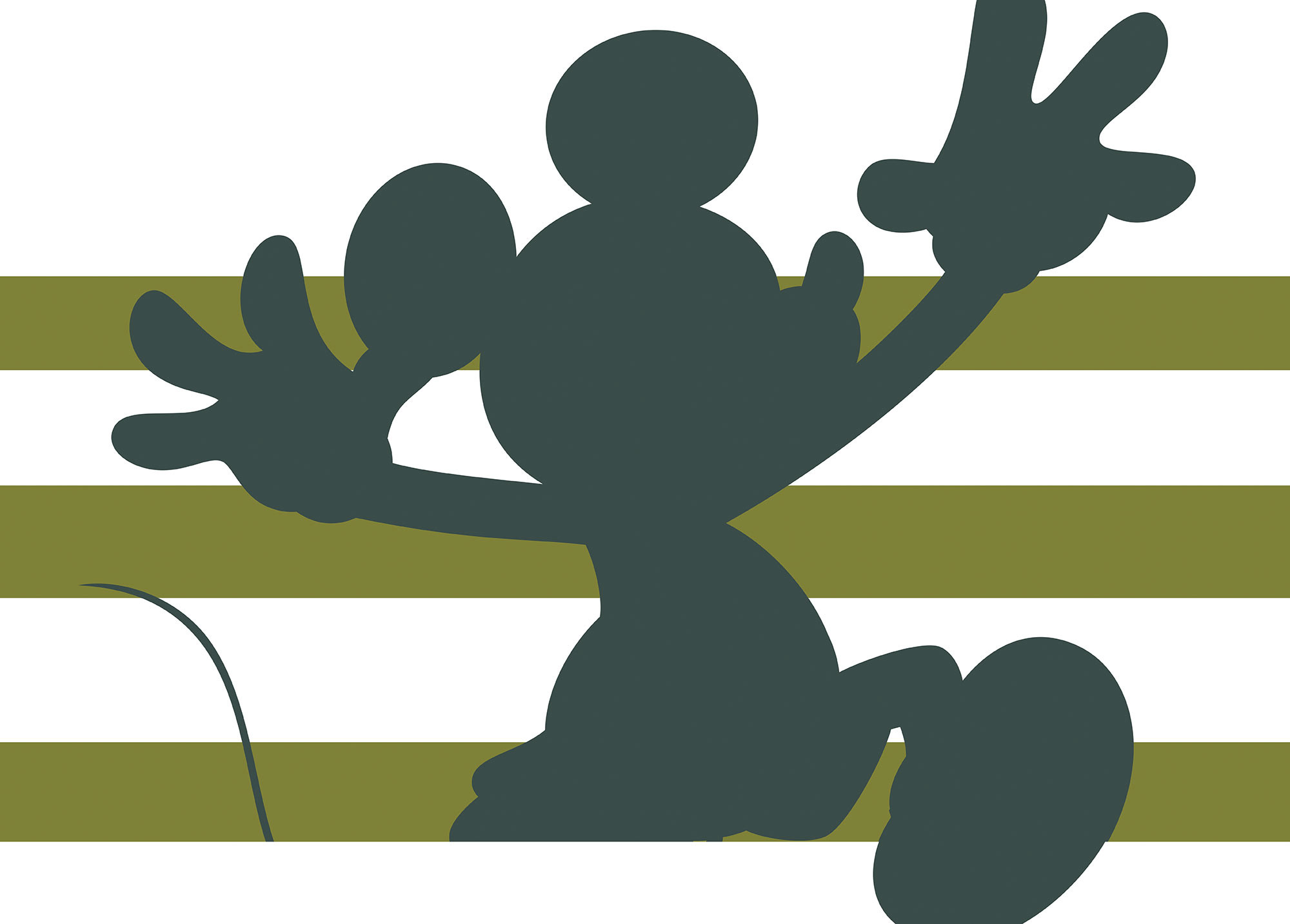 Mickey Shadow