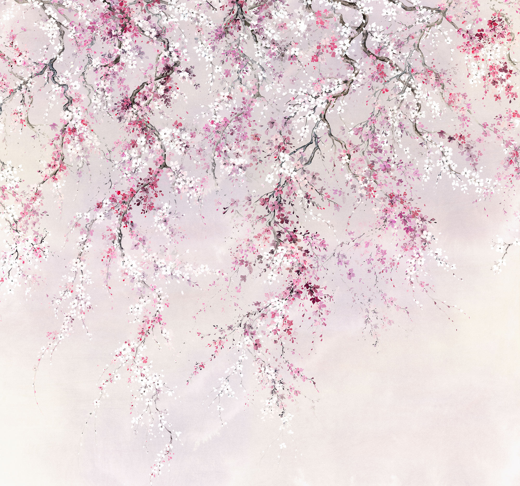 Kirschblüten