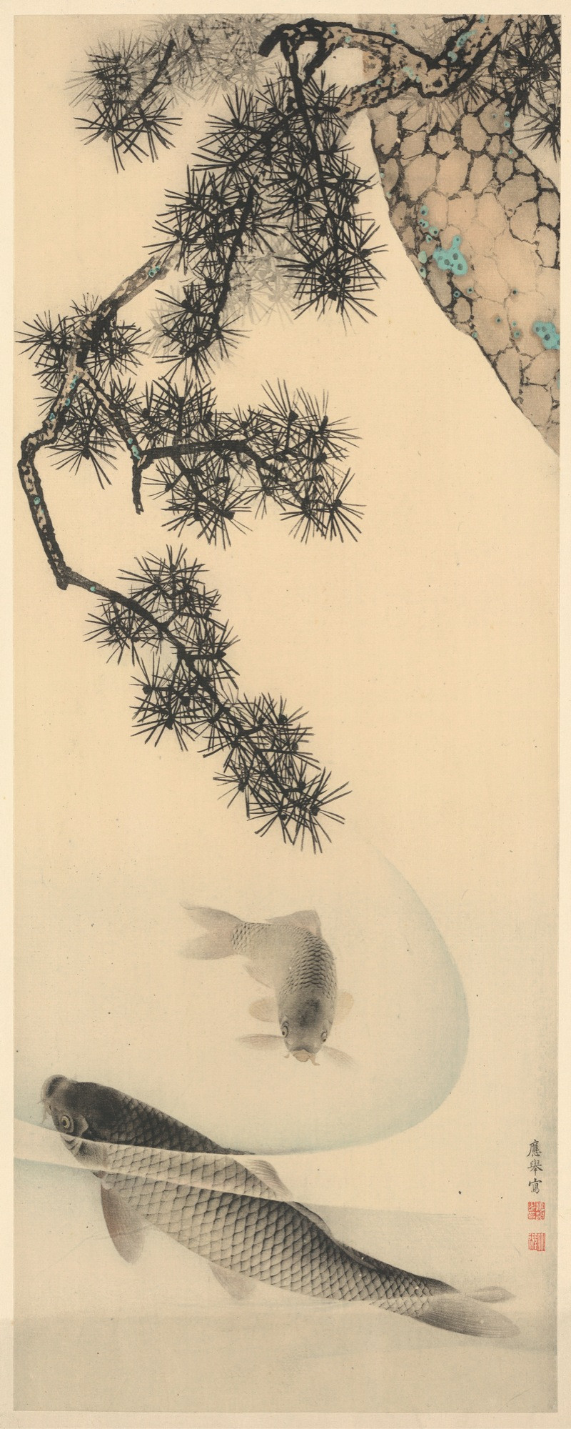 Koi