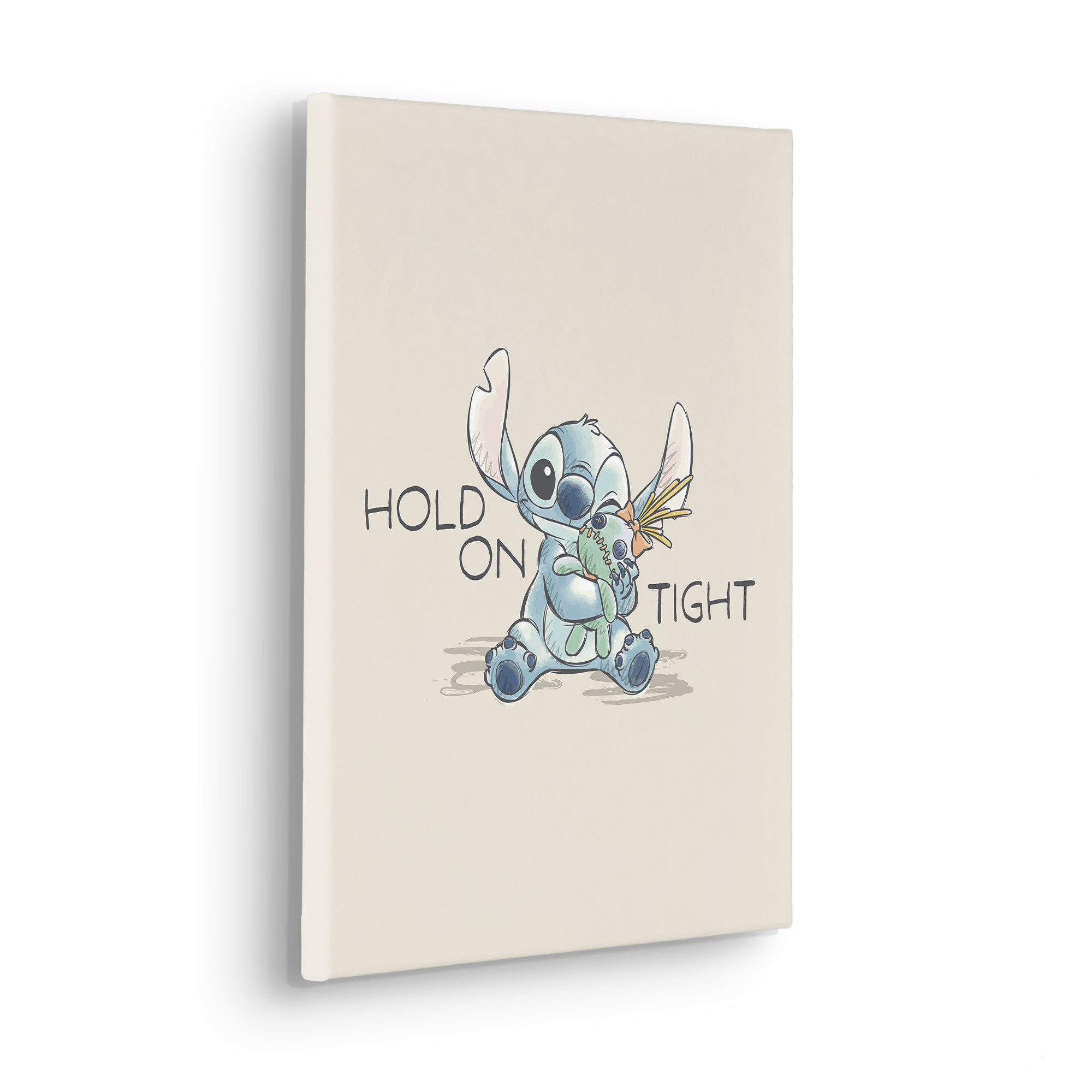 Disney Lilo and Stitch Hold On Tight