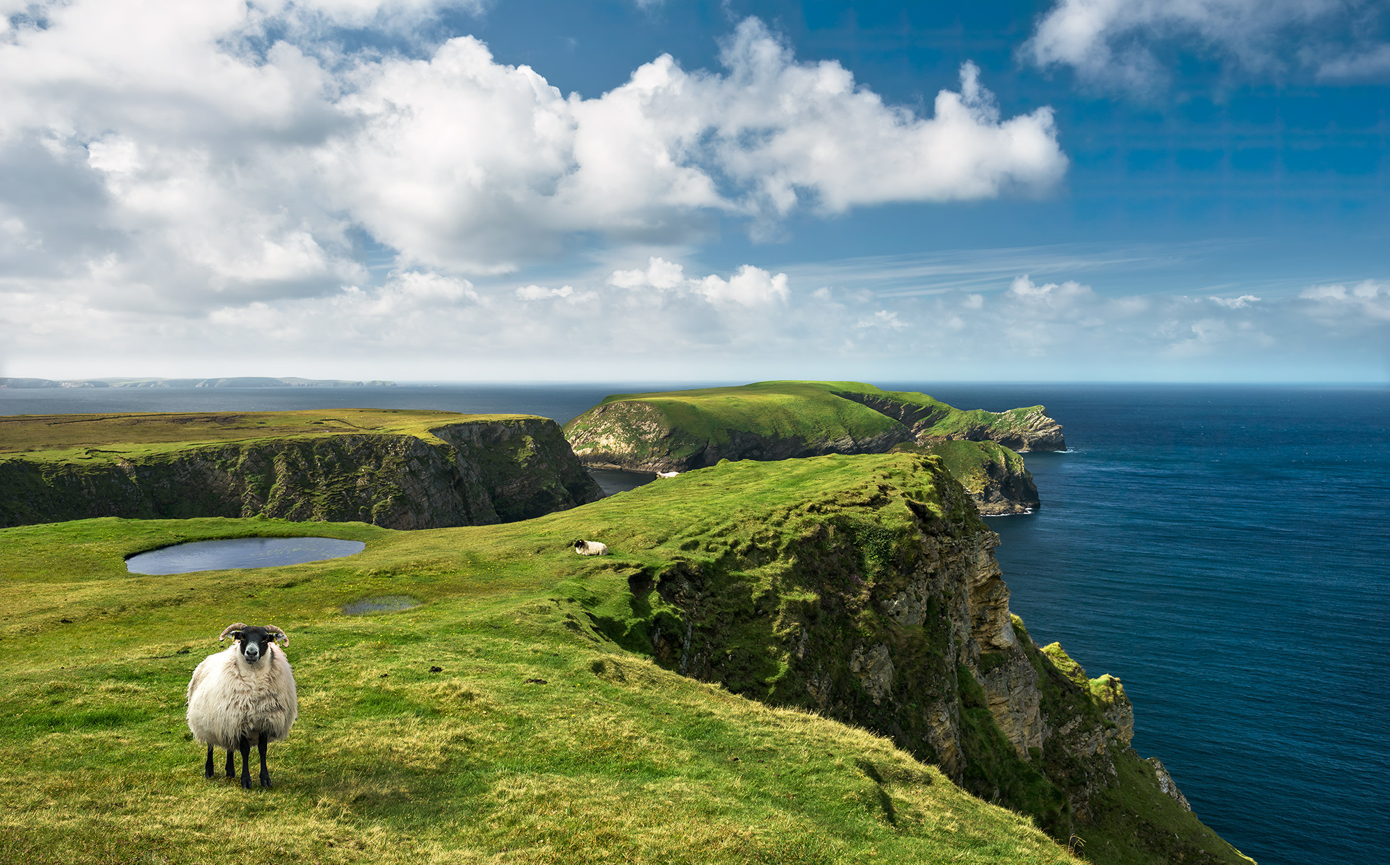 Green Ireland