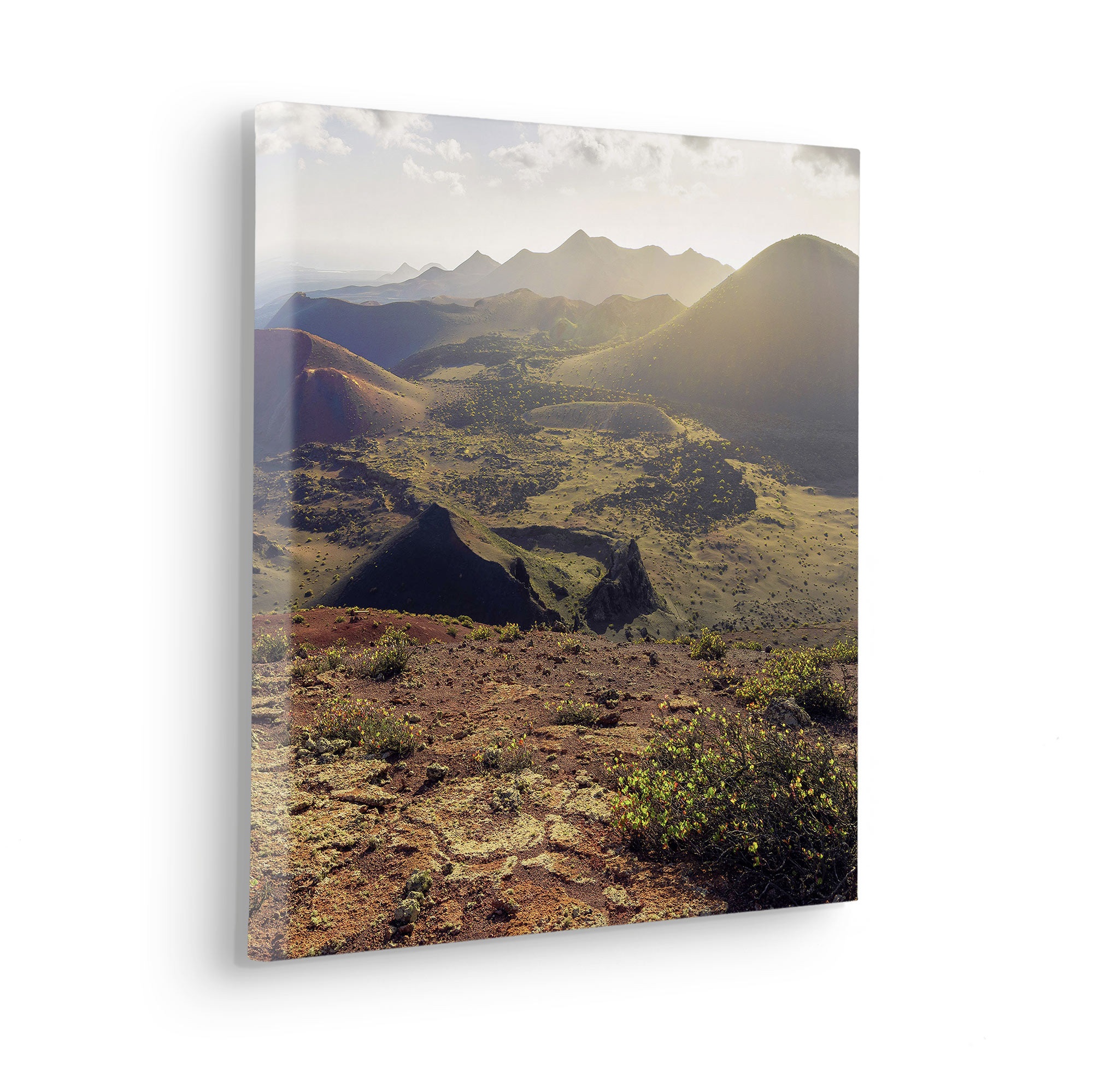 Coloured Earth