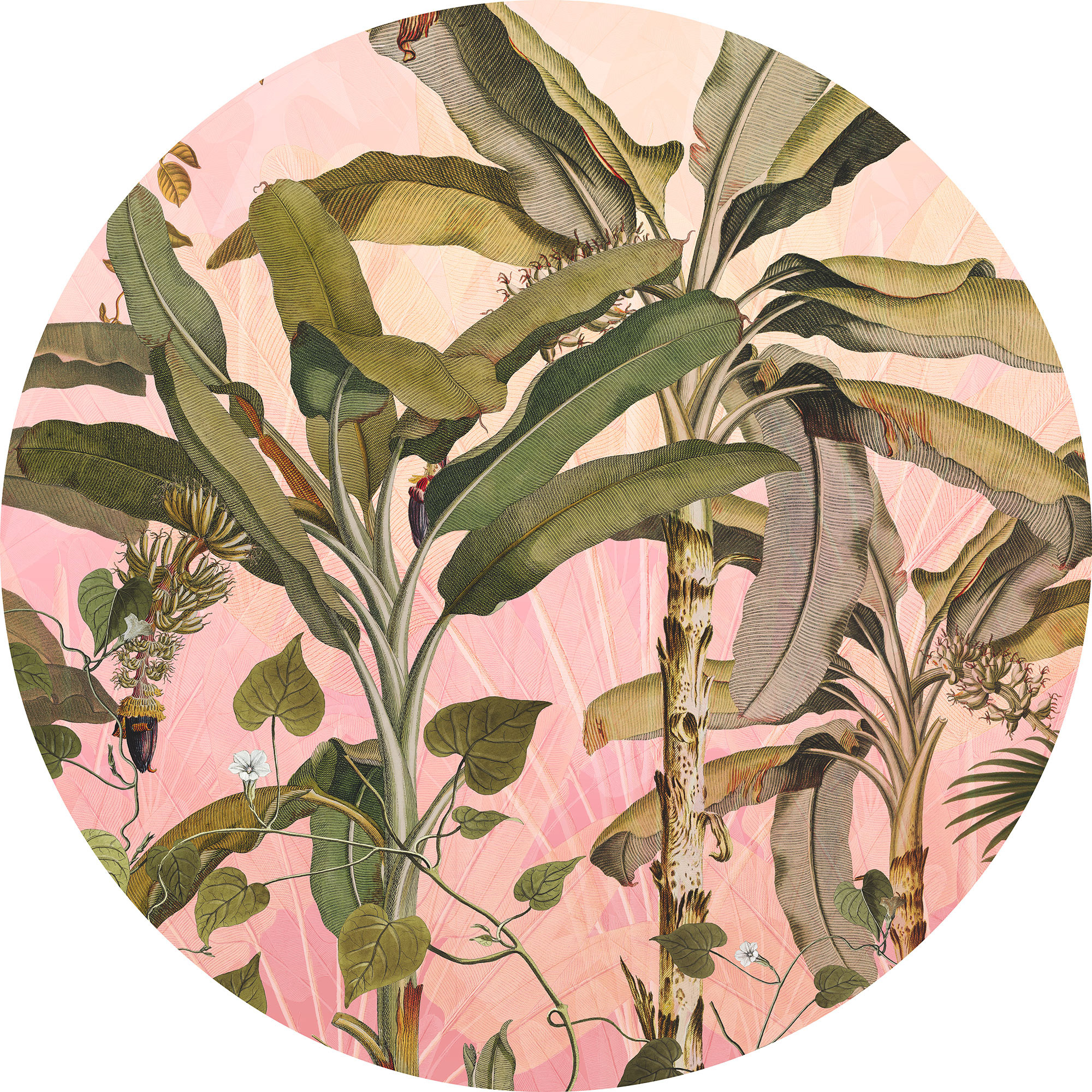 Botany