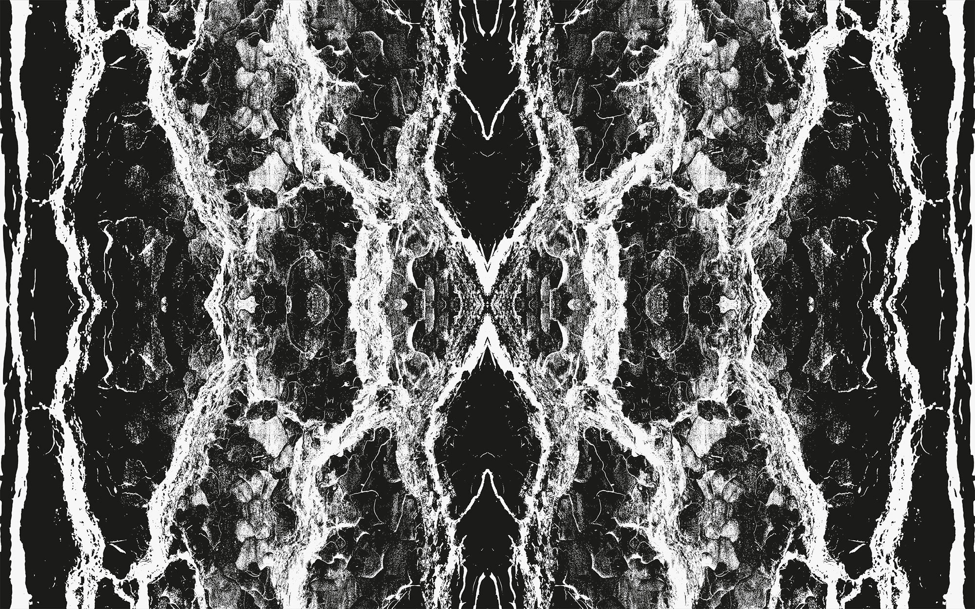 Oak Bark black-white