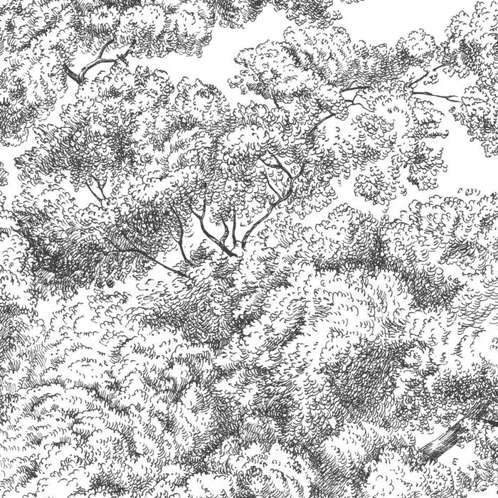 Arbre