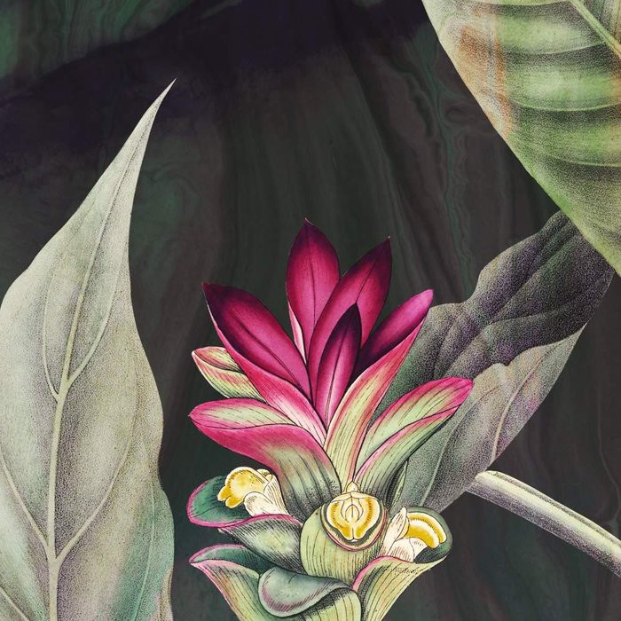 Jungle Chat