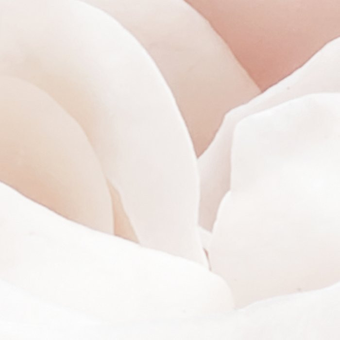 Parfum de Rose