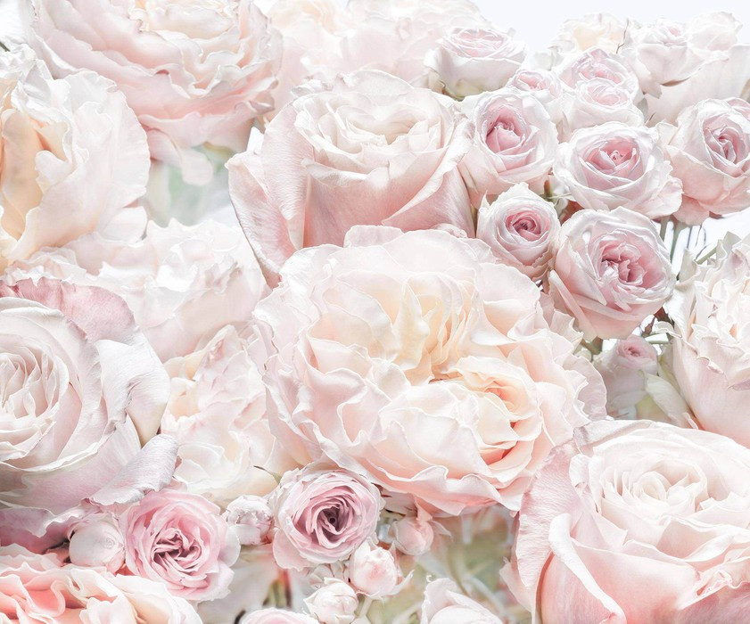 Parfum de Rose