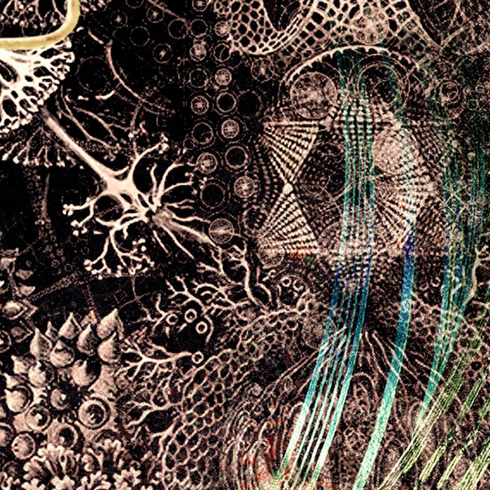 Le monde des Plantes