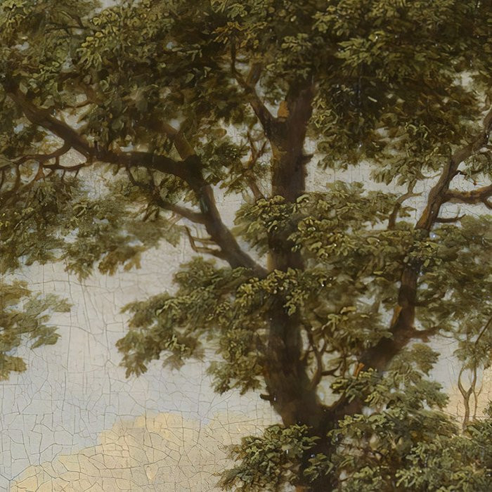 Horizon