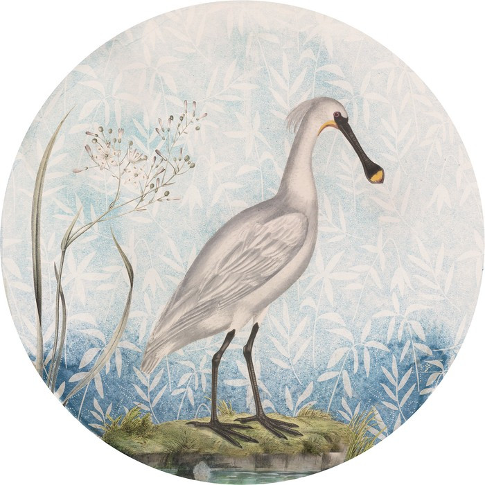 Spoonbill