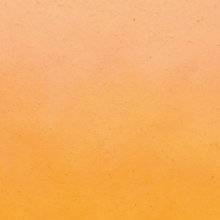 Fuel