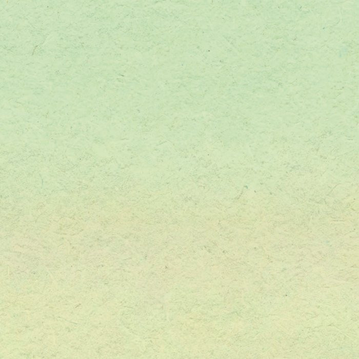 Fuel