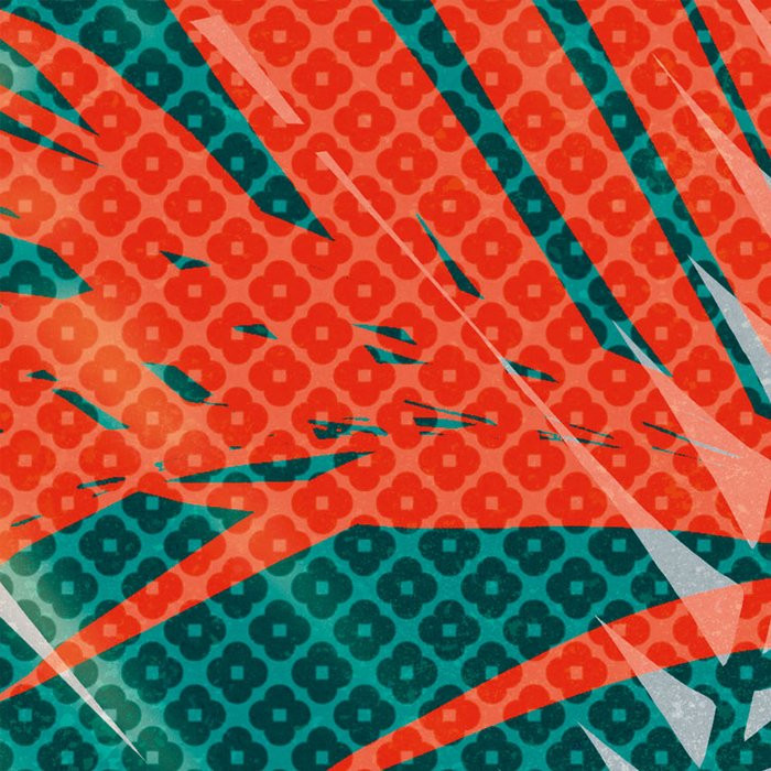 Tropical Trip