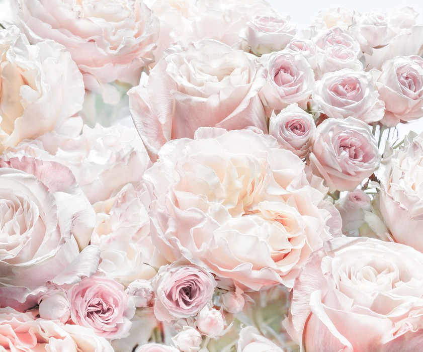 Floral Pur