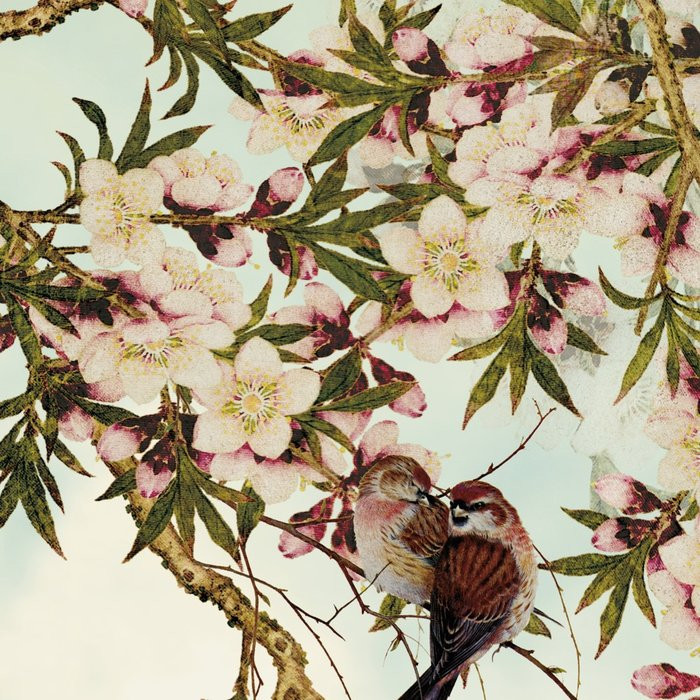 Frühlingsblüte