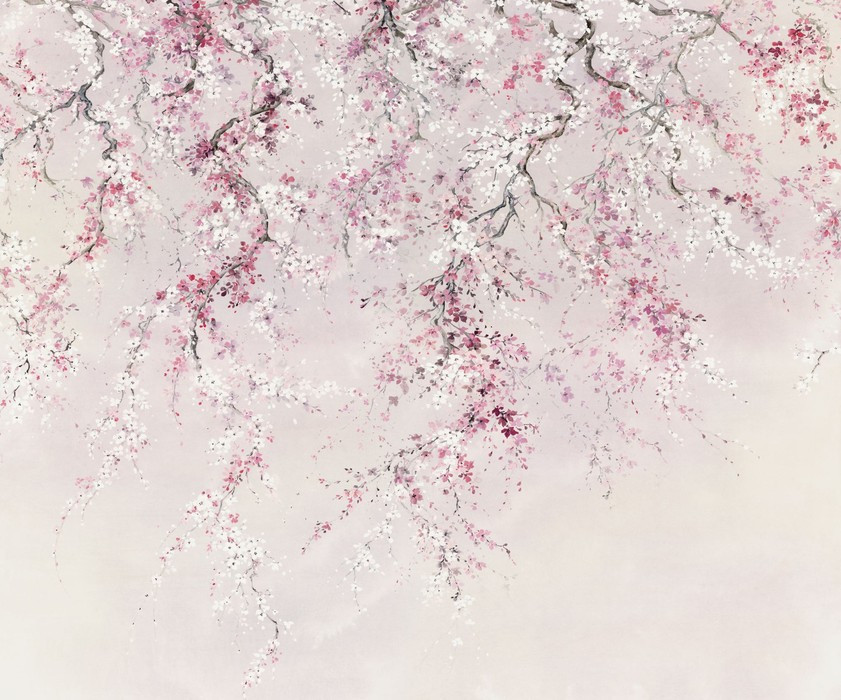 Kirschblüte