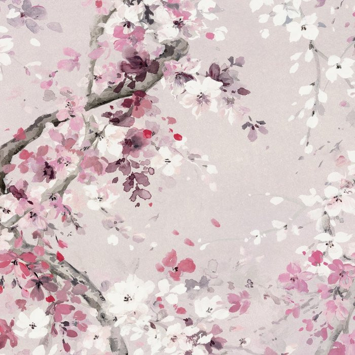 Kirschblüte