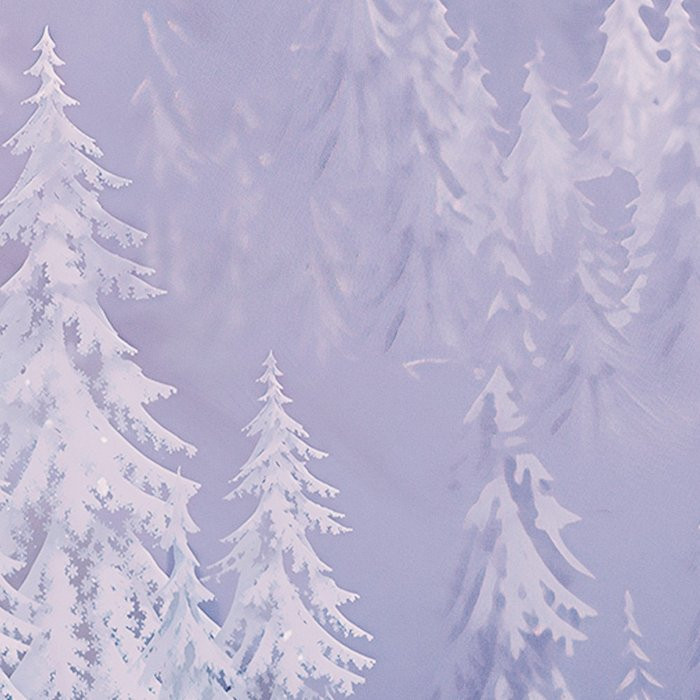 Disney Frozen Snowy Memories