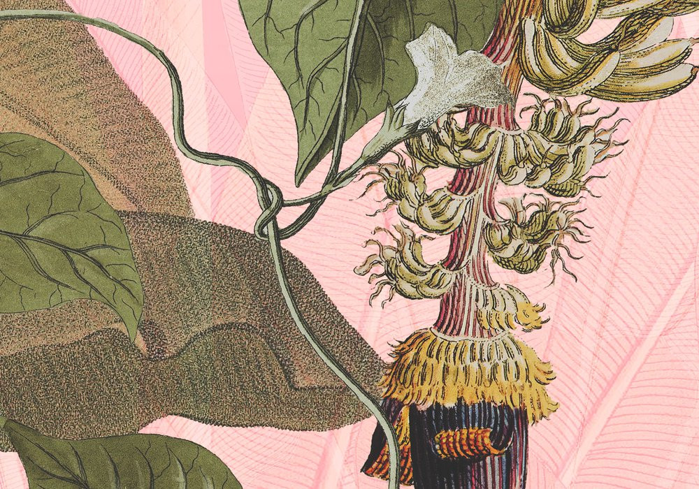 Plantation