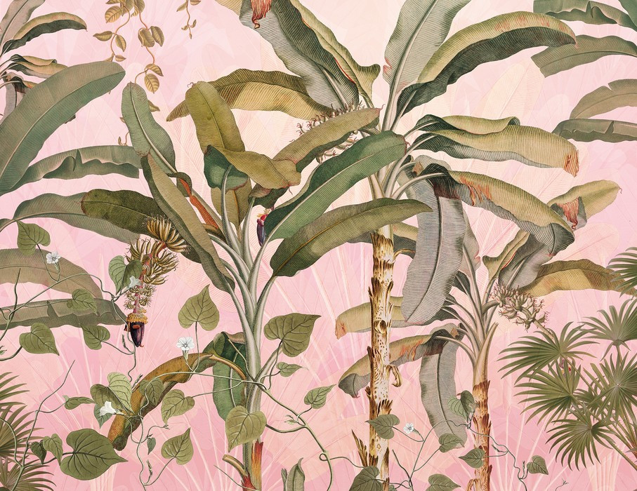 Plantation