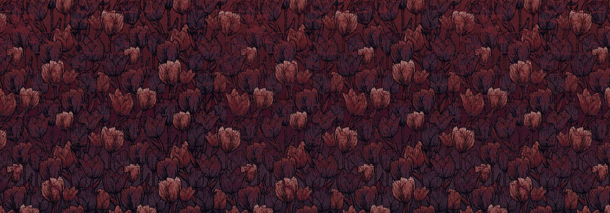 Tulipe