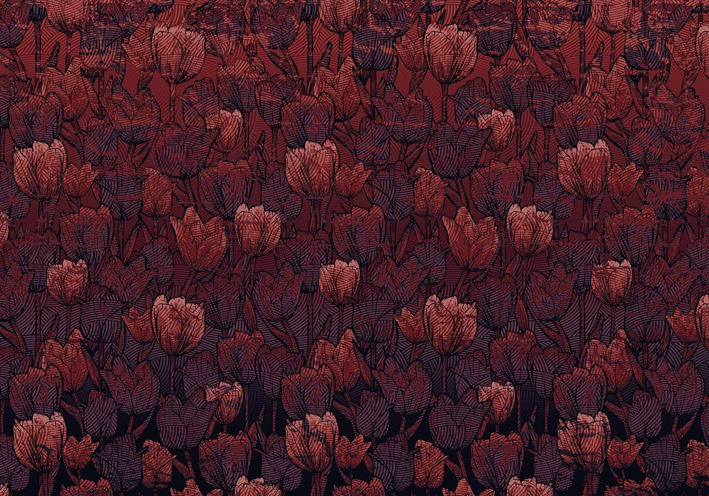 Tulipe