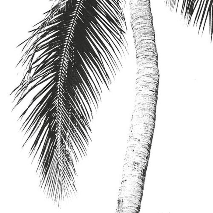 Retro Palm